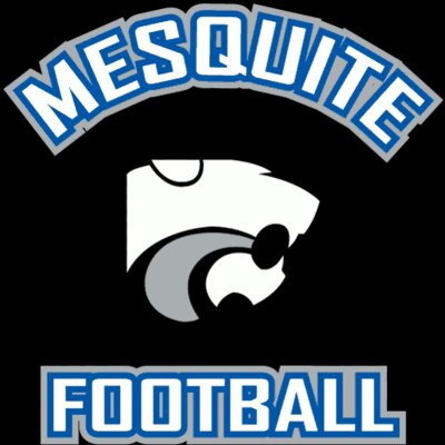 Mesquite Football #2